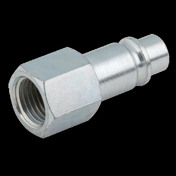 1/4" BSPP Female Plug